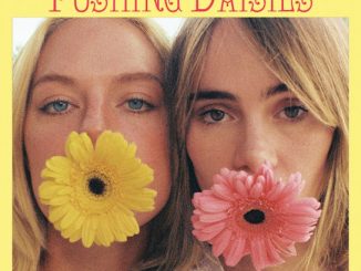 Ashe Pushing Daisies Mp3 Download