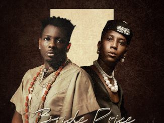 Terry Apala Bride Price Mp3 Download