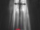 Ava Max Lost Your Faith Mp3 Download